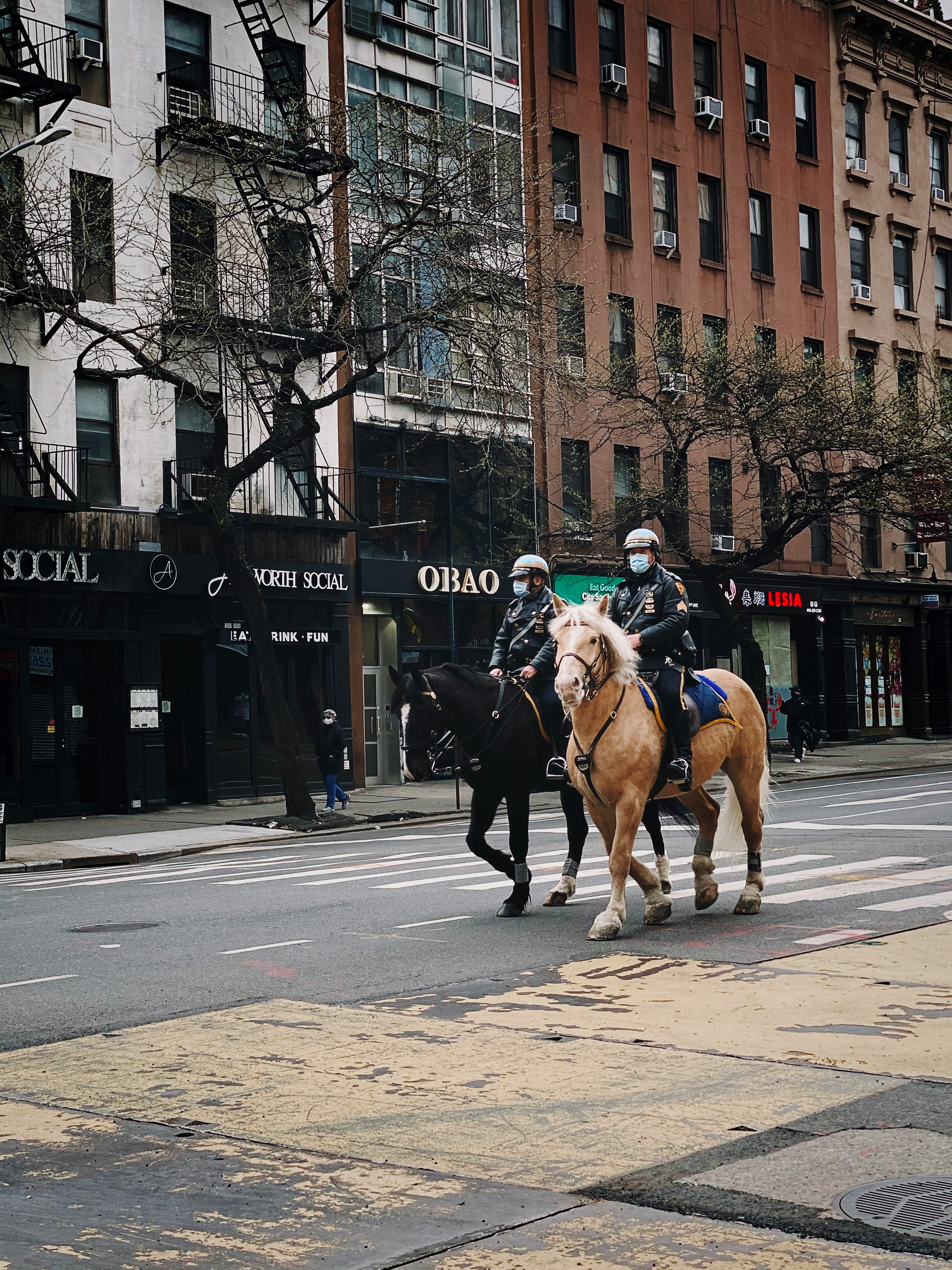 man riding horse on road during daytime